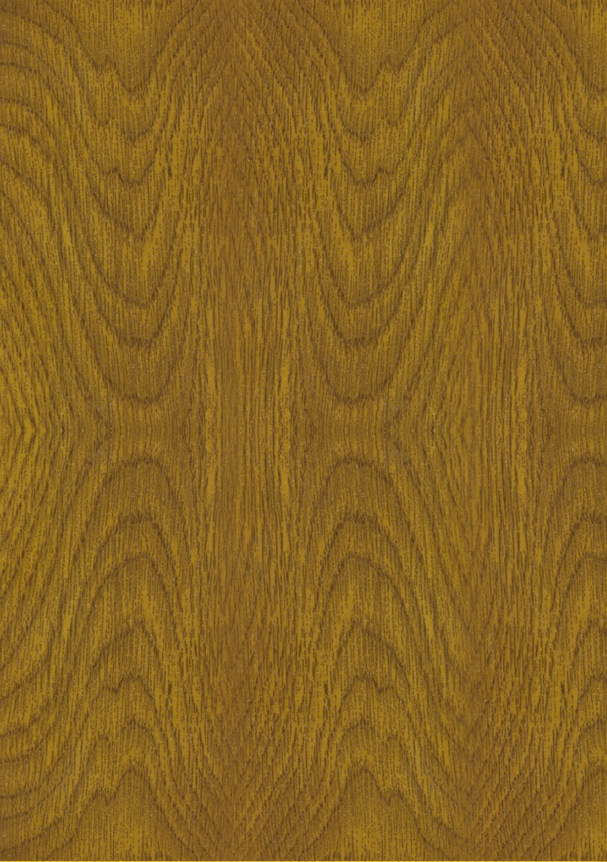 Aranytölgy - Golden Oak